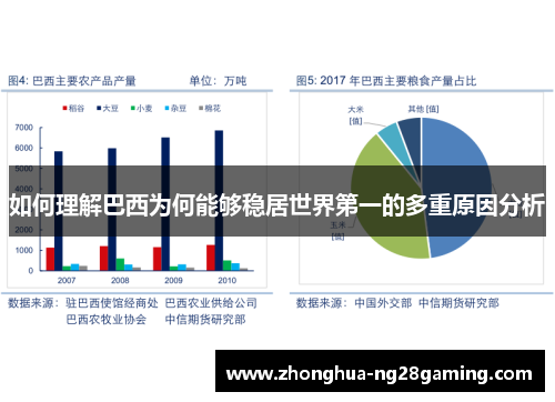 如何理解巴西为何能够稳居世界第一的多重原因分析