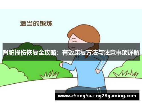 肾脏损伤恢复全攻略:有效康复方法与注意事项详解 肾脏损伤恢复全攻略:有效康复方法与注意事项详解