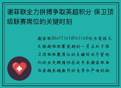 谢菲联全力拼搏争取英超积分 保卫顶级联赛席位的关键时刻