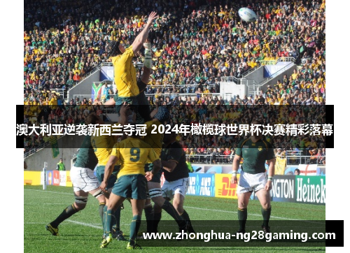 澳大利亚逆袭新西兰夺冠 2024年橄榄球世界杯决赛精彩落幕 澳大利亚逆袭新西兰夺冠 2024年橄榄球世界杯决赛精彩落幕