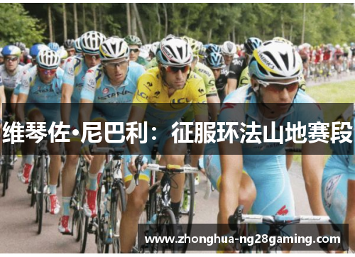 维琴佐·尼巴利：征服环法山地赛段