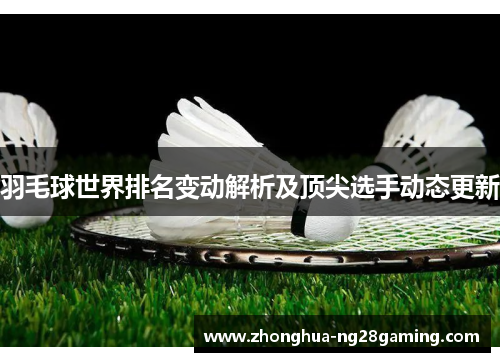 羽毛球世界排名变动解析及顶尖选手动态更新